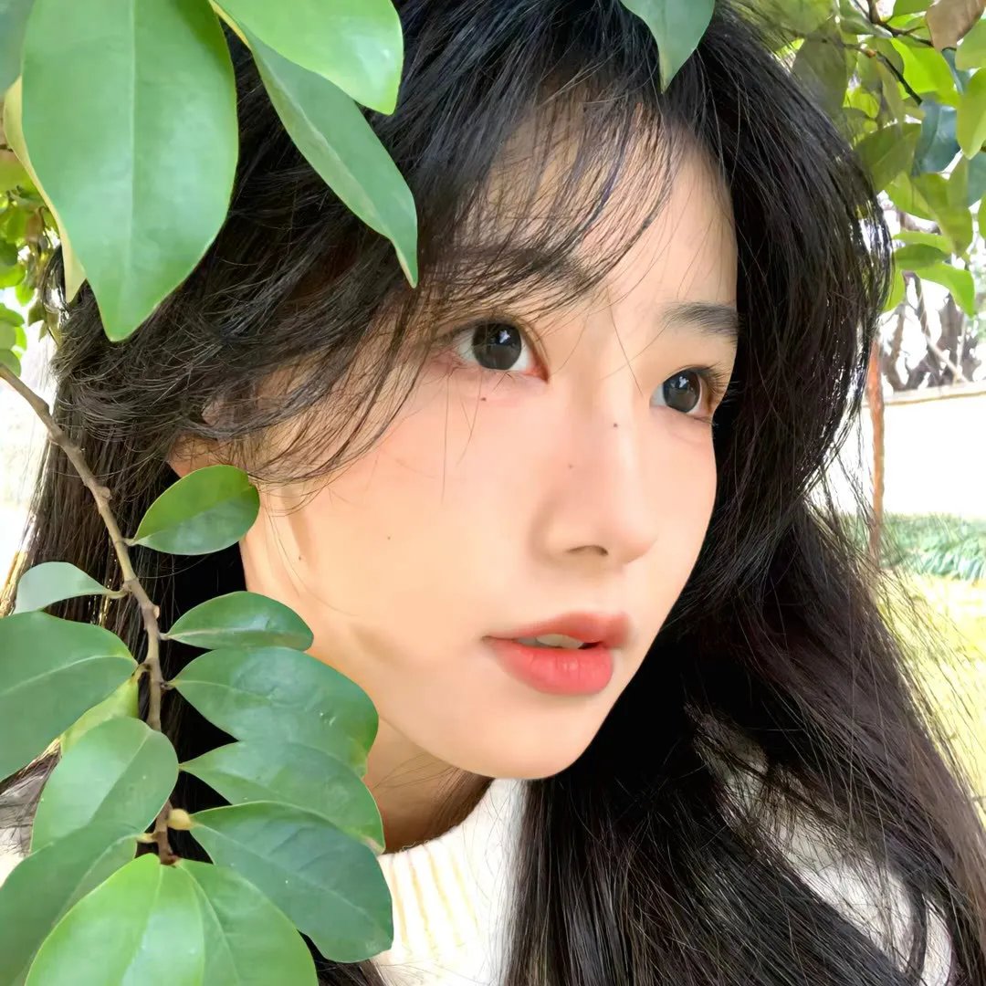 头头是路